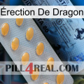 Érection De Dragon 44